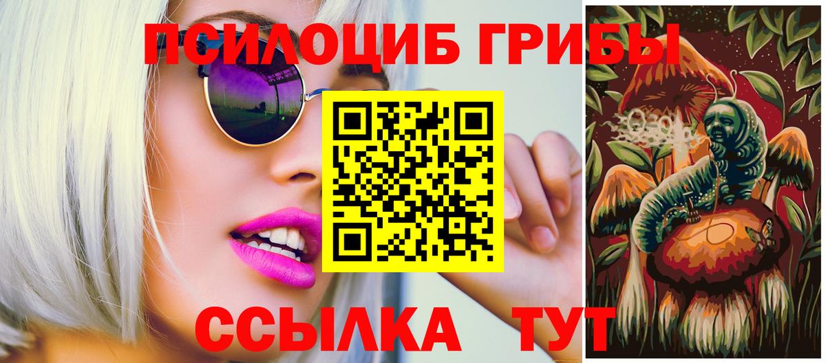 Псилоцибиновые грибы Cubensis  продажа наркотиков  Амурск  Псилоцибиновые грибы мицелий  Вход с VPN 